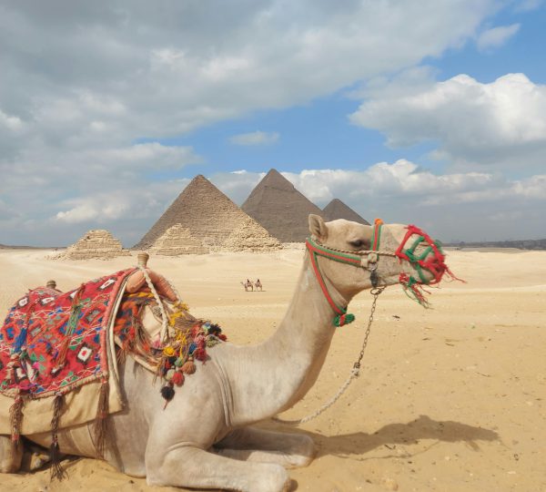 Cairo & Giza